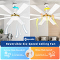 Dextrus 60 in Modern LED Outdoor/Indoor Ceiling Fan with Remote Control